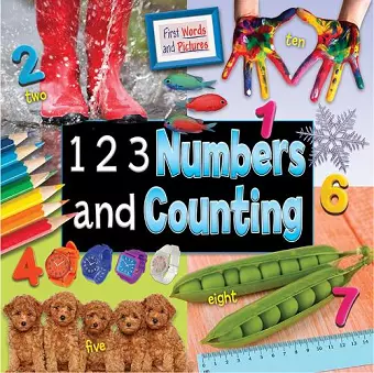 1 2 3 Numbers and Counting cover