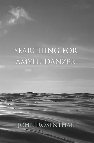 Searching for Amyu Danzer cover