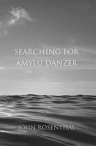 Searching for Amylu Danzer cover