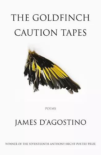 The Goldfinch Caution Tapes cover