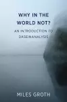 Why in the world not? cover