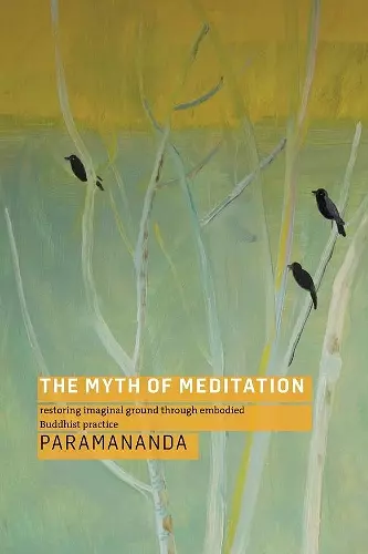 The Myth of Meditation cover