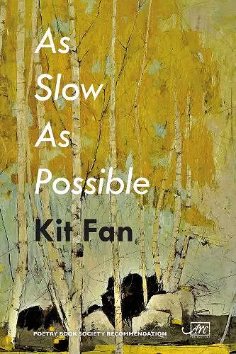 As Slow As Possible cover