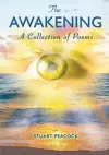 The Awakening cover