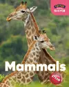 Foxton Primary Science: Mammals (Key Stage 1 Science) cover
