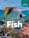 Foxton Primary Science: Fish (Key Stage 1 Science) cover