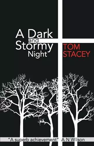 A Dark and Stormy Night cover