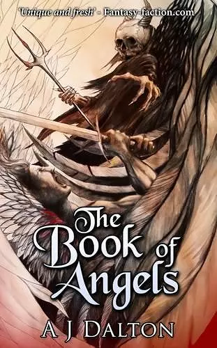 The Book of Angels cover