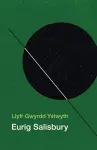 Llyfr Gwyrdd Ystwyth cover