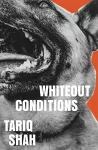 Whiteout Conditions cover