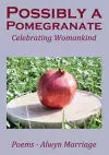 Possibly a Pomegranate cover