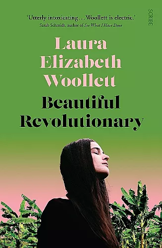 Beautiful Revolutionary cover