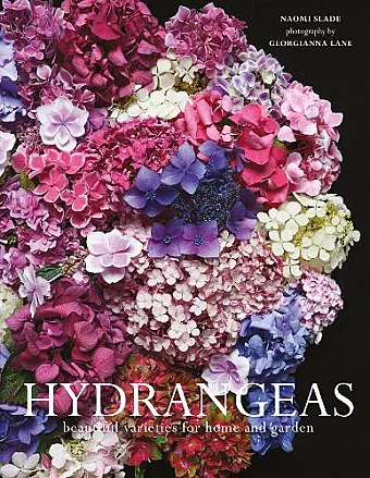 Hydrangeas cover