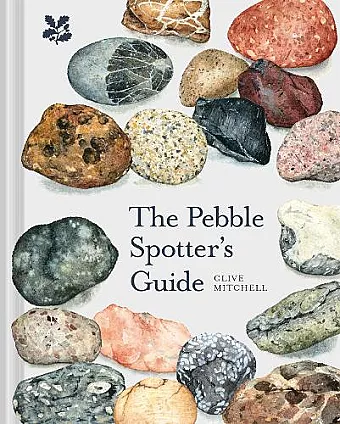 The Pebble Spotter's Guide cover