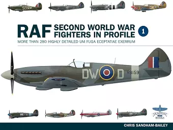 Raf Second World War Fighters in Profile cover