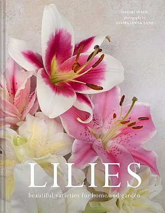 Lilies cover