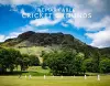 Remarkable Cricket Grounds cover