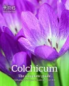 Colchicum: The Complete Guide cover
