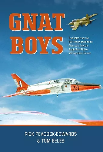 Gnat Boys cover