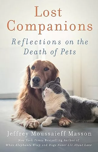 Lost Companions cover