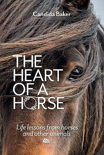 The Heart of a Horse cover