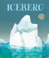 Iceberg cover