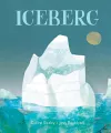 Iceberg cover