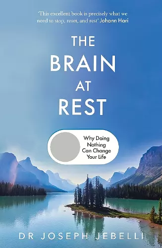 The Brain at Rest cover
