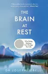 The Brain at Rest cover