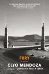 Fury cover