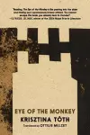 Eye of the Monkey cover