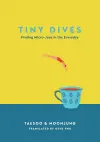 Tiny Dives cover