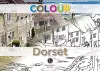 Colour Dorset cover