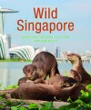 Wild Singapore (2nd edition) cover