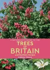 A Naturalist’s Guide to the Trees of Britain and Northern Europe (2nd edition) cover