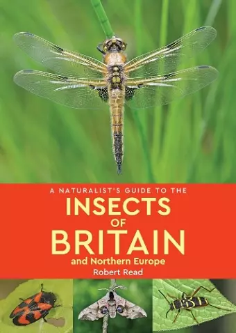 A Naturalist's Guide to the Insects of Britain and Northern Europe (2nd edition) cover