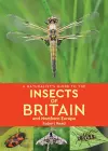 A Naturalist's Guide to the Insects of Britain and Northern Europe (2nd edition) cover