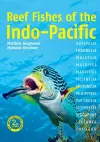 Reef Fishes of the Indo-Pacific (2nd edition) cover