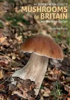 An Identification Guide to Mushrooms of Britain and Northern Europe (2nd edition) cover