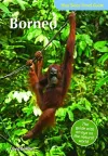 Blue Skies Travel Guide: Borneo cover