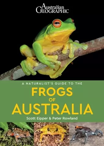 A Naturalist's Guide to the Frogs of Australia cover