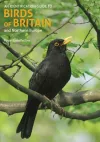 An Identification Guide to Birds of Britain and Northern Europe (2nd edition) cover