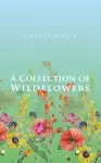 A Collection of Wildflowers cover