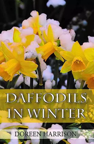 Daffodils in Winter cover