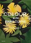 Colour with Brian Clarke: Collages 2 cover