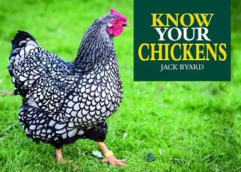 Know Your Chickens cover