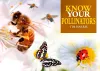 Know Your Pollinators cover