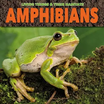 Amphibians cover