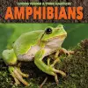 Amphibians cover