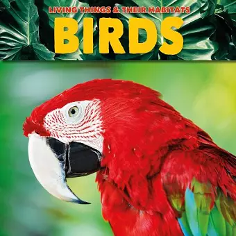 Birds cover